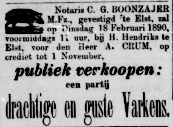 DE Betuwe 1890