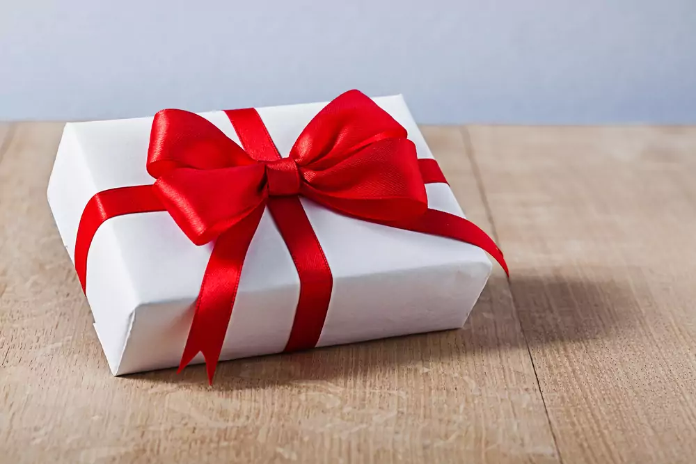 Op zoek naar een Elster cadeau voor de feestdagen?