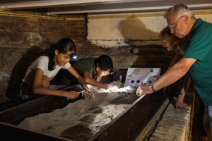 Graven als een archeoloog - kopie 2 MB