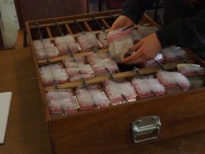 OLYMPUS DIGITAL CAMERA